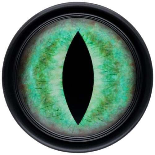 Verena Venus - Plug incl. Packaging