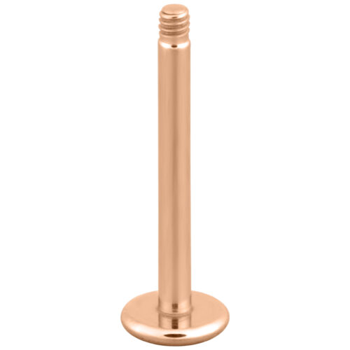 Micro labret sans boule
