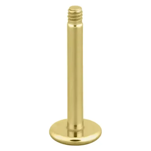 Micro labret sans boule