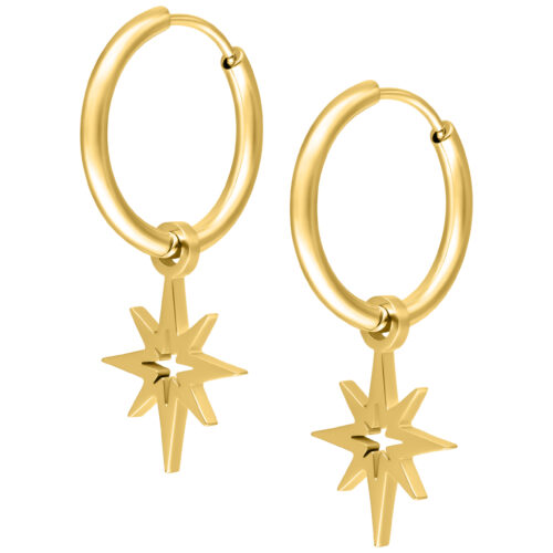 Little Polar Star Hoop Earrings<!--6357dda370593--> - Golden Metal