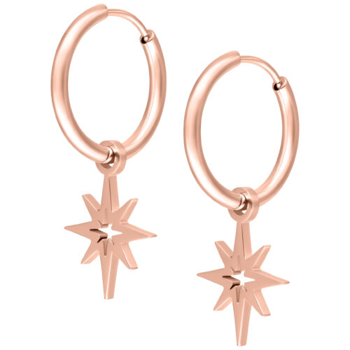 Little Polar Star Hoop Earrings<!--6357dda370593--> - Rosegold