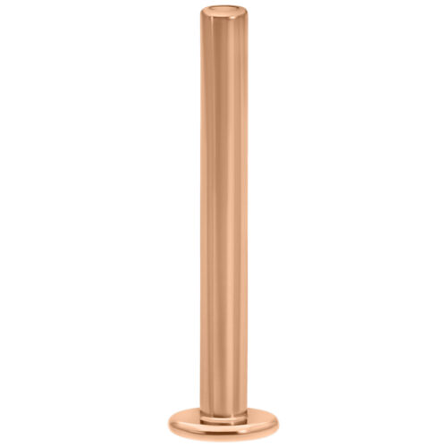 Prong Set Attachment for Hollow Labret Stud<!--6357e004be324-->