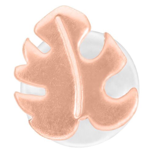 Monstera Push-Fit Labret Stud<!--6357da9f56a7a-->