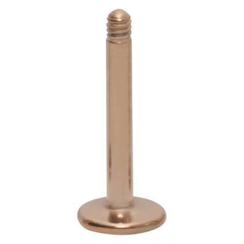 Basic Labret Stud Labret Jewellery