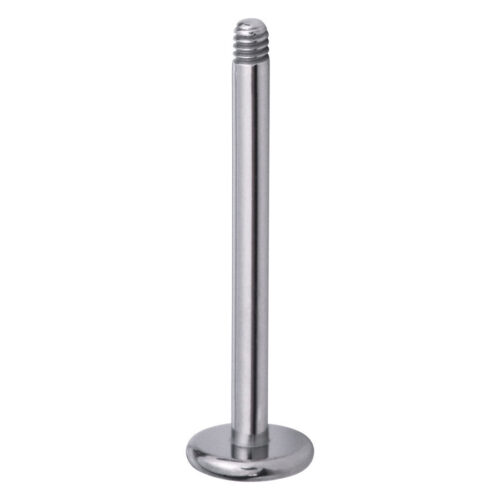 Micro labret sans boule