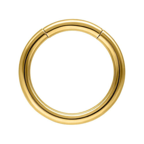 Basic Segmentring<!--6357de74881dd--><!--636e78dd9eac7-->