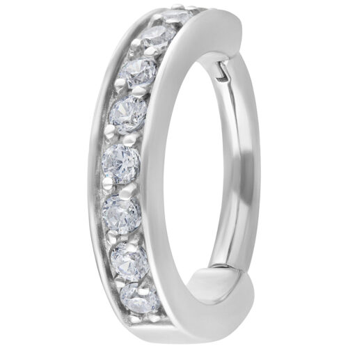 Hinged Ring <!--636e793469fe4-->