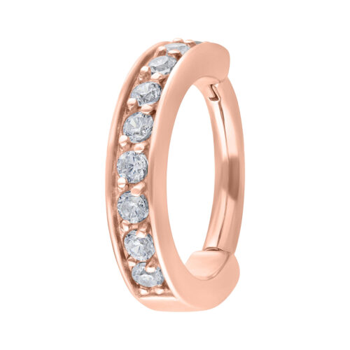 Hinged Ring <!--636e793469fe4-->
