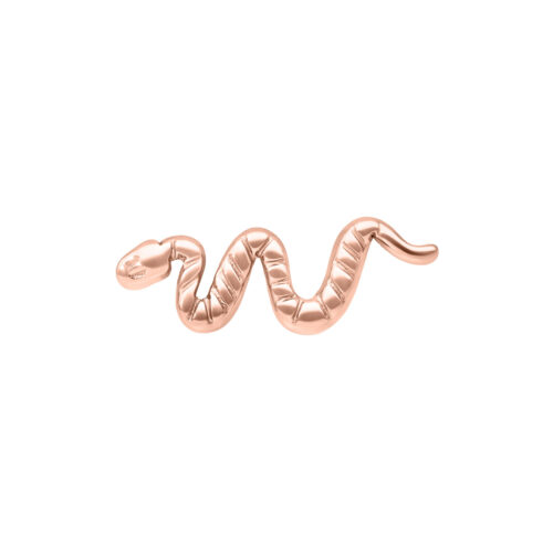 Push Fit Snake Aufsatz